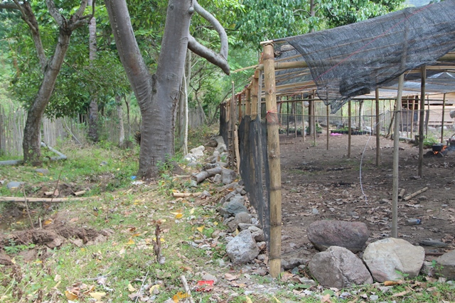 190108 - Lokasi Pembibitan Baru